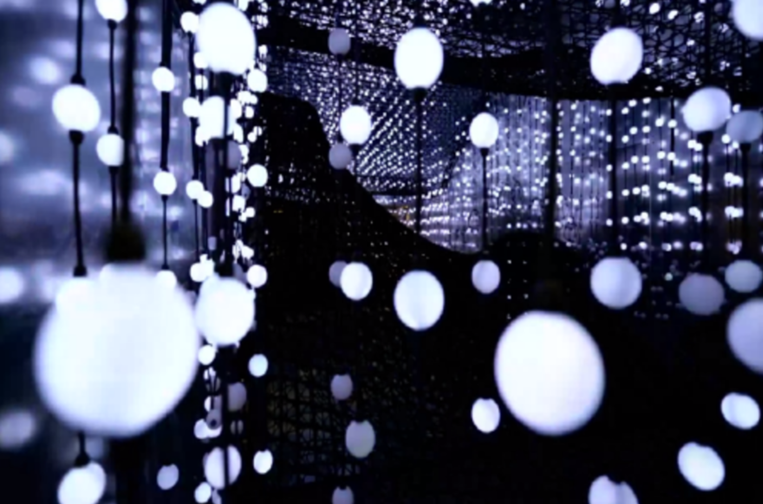 Ascend - TED Talks, Vancouver