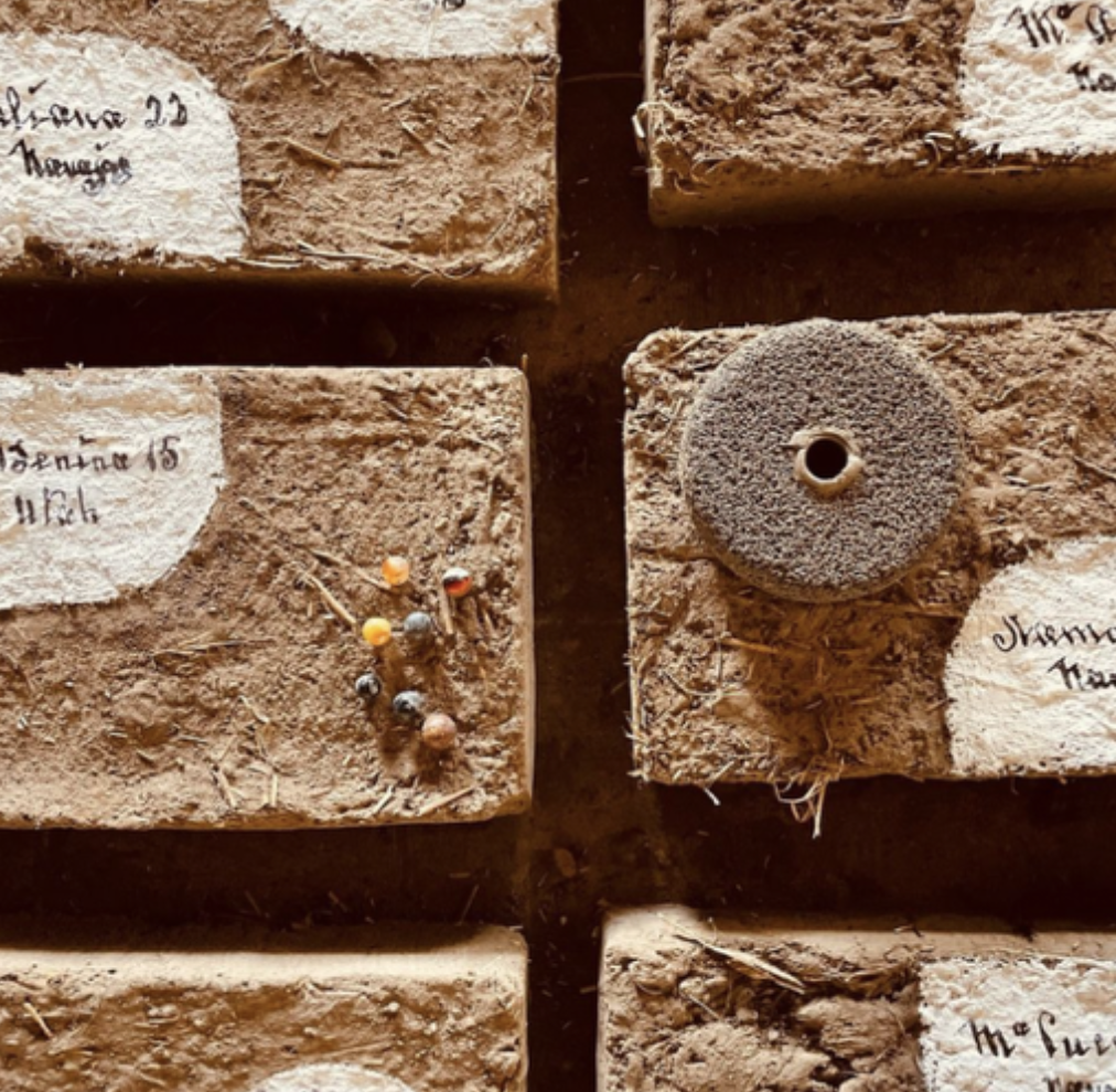 Screenshot 2025-12-16 at 11.56.50 AM.png