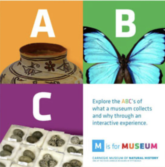 Branding by Wall-to-wall Studios 