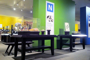 M Is For Museum - Carnegie Museum of Natural History. Pittsburgh, Pa. 2011