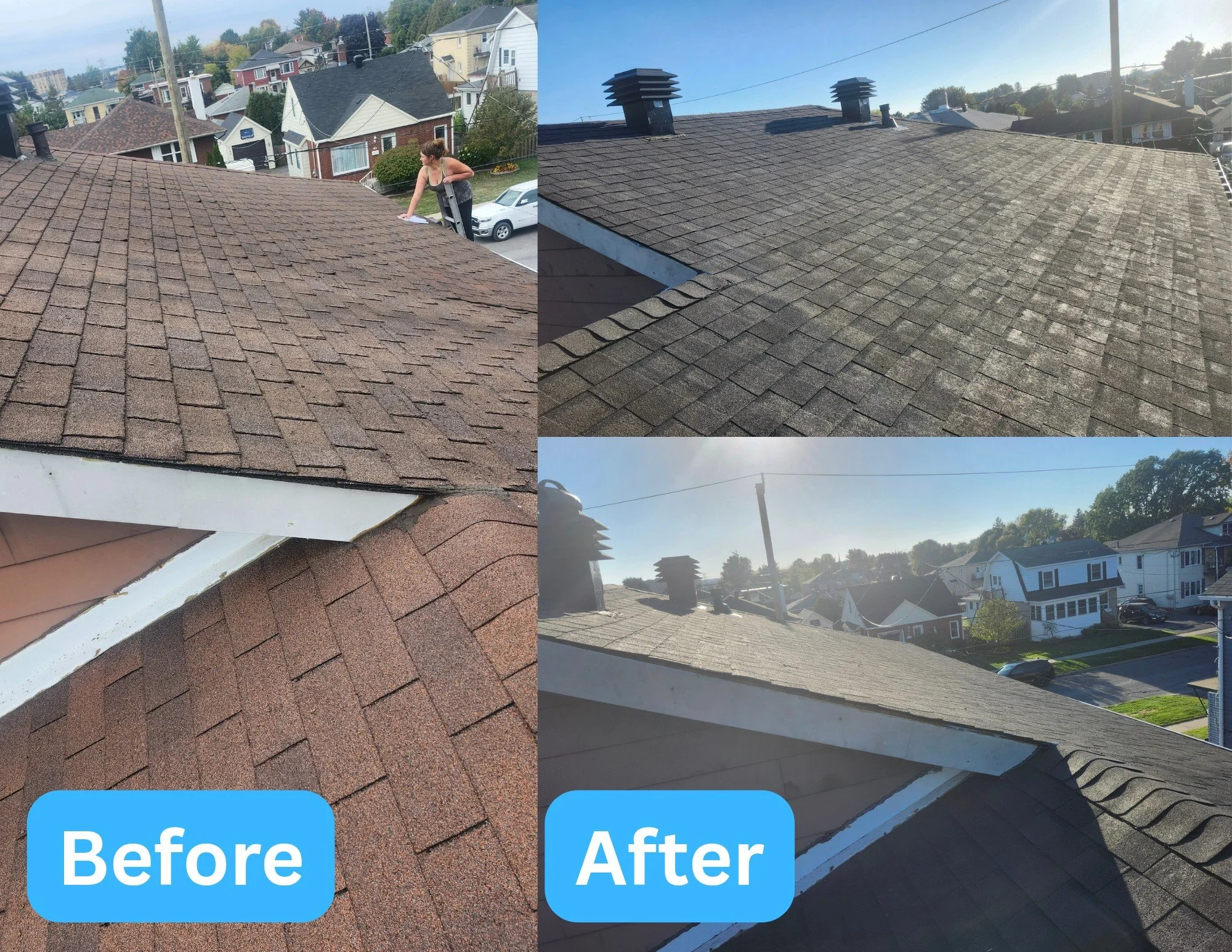 Full Roof Replacement (Main Roof, Porch, & Bay Windows)