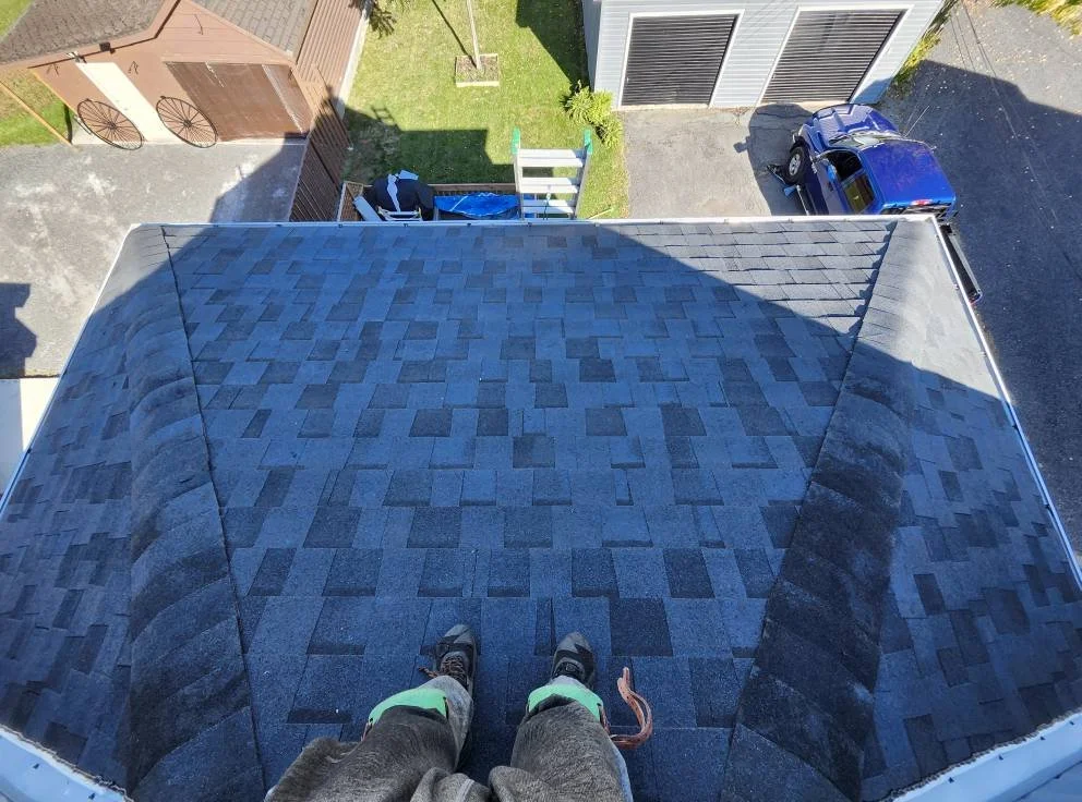 Roof Replacement (Back Middle Section)