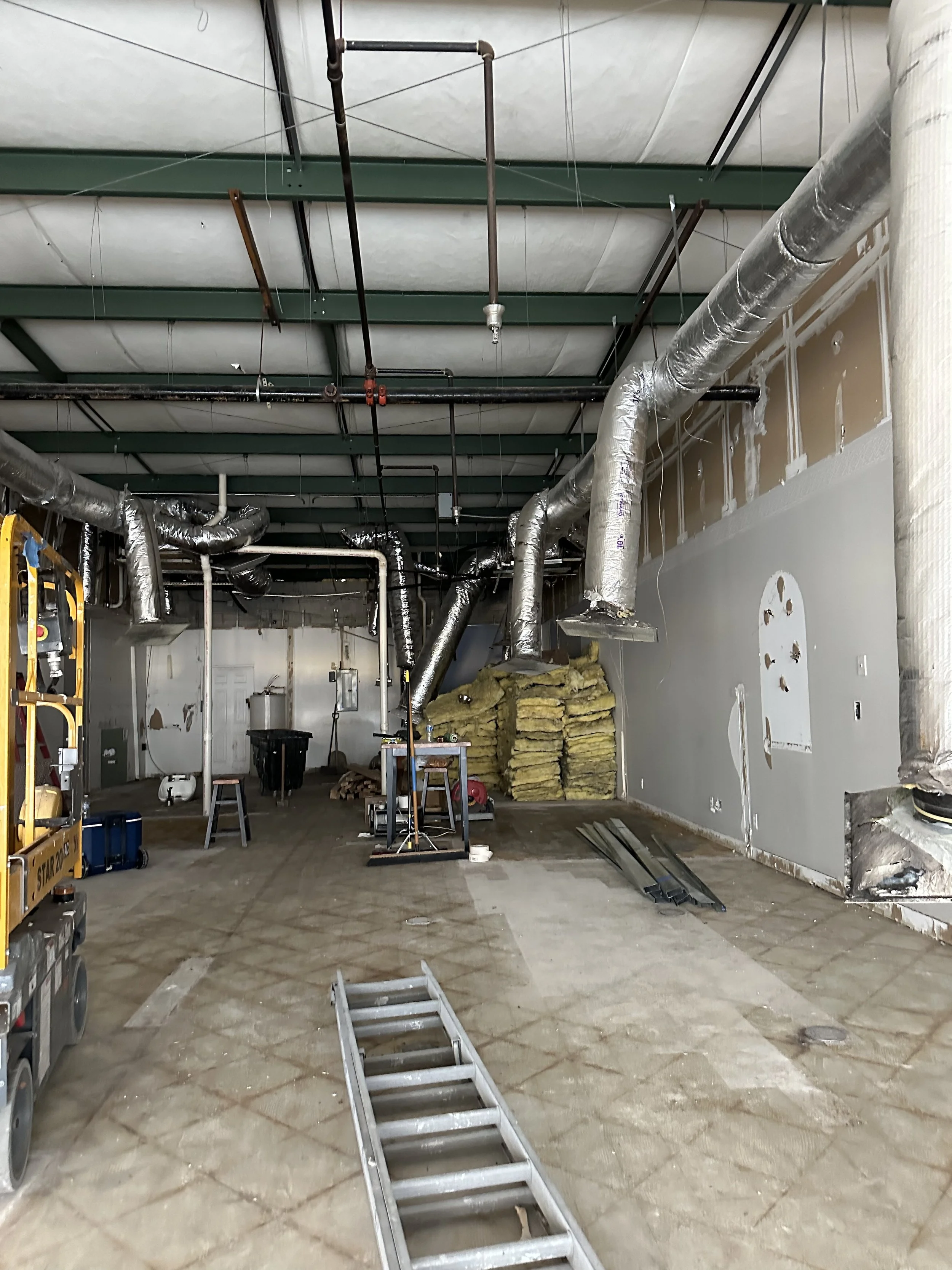 BE0D8EC1-4942-49CE-88D1-C97D2160023D Courtney.jpeg