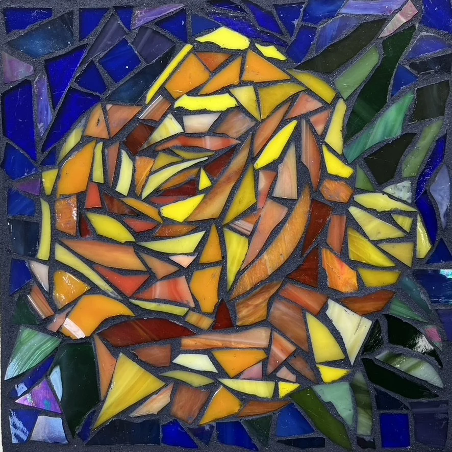 Variegated Yellow Rose