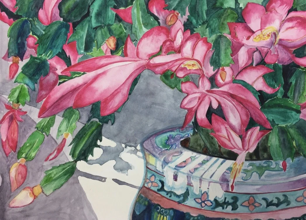 November Christmas Cactus