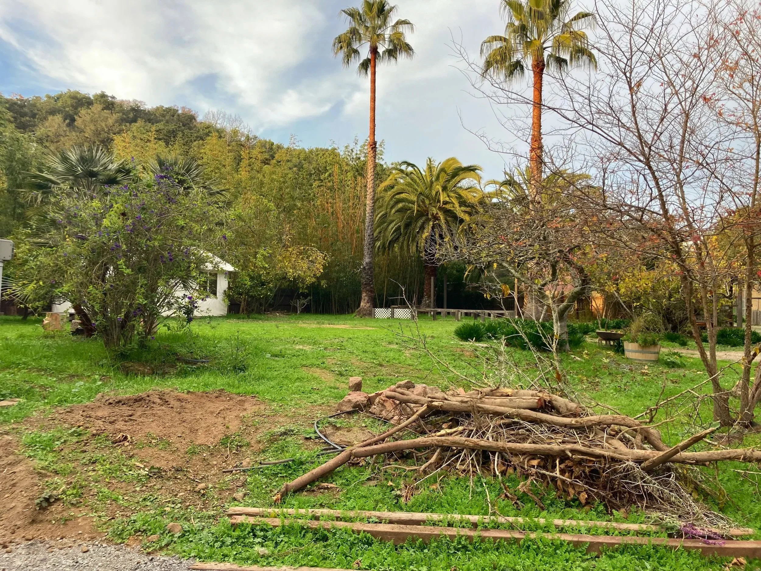 Outdoor wedding venue in Novato at Tea Bouquet Farmstead