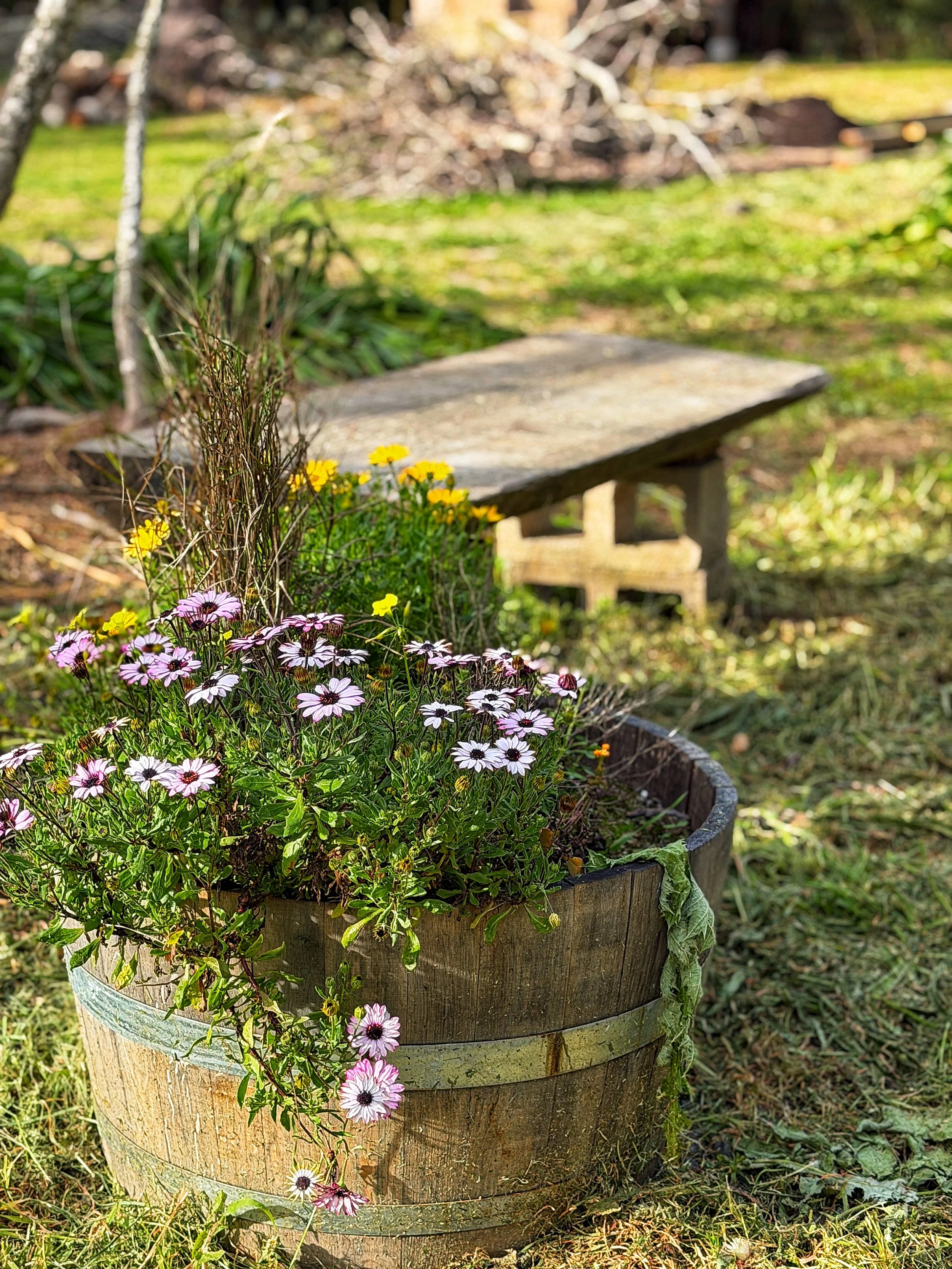 Outdoor wedding venue in Novato at Tea Bouquet Farmstead
