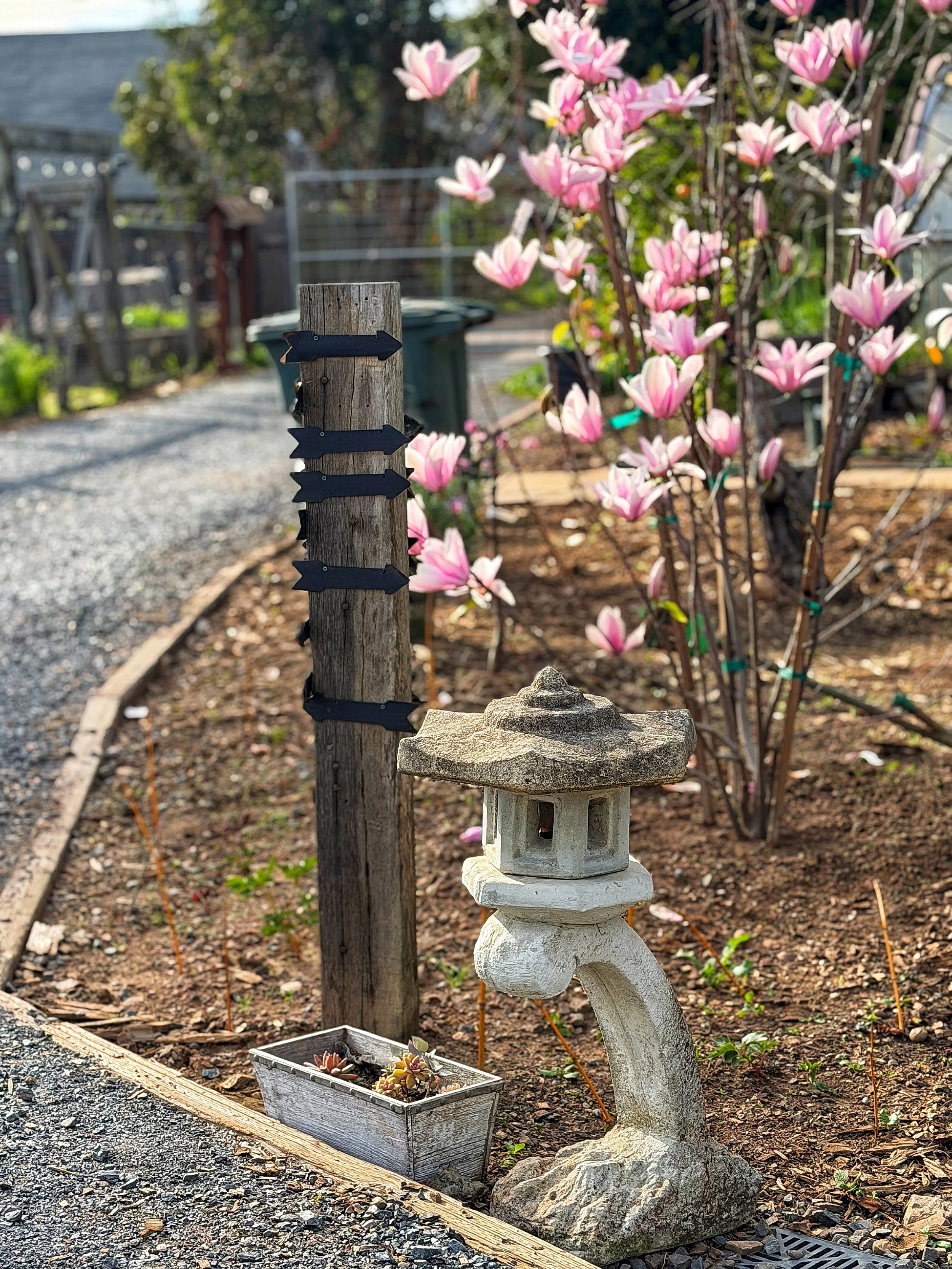 Outdoor wedding venue in Novato at Tea Bouquet Farmstead