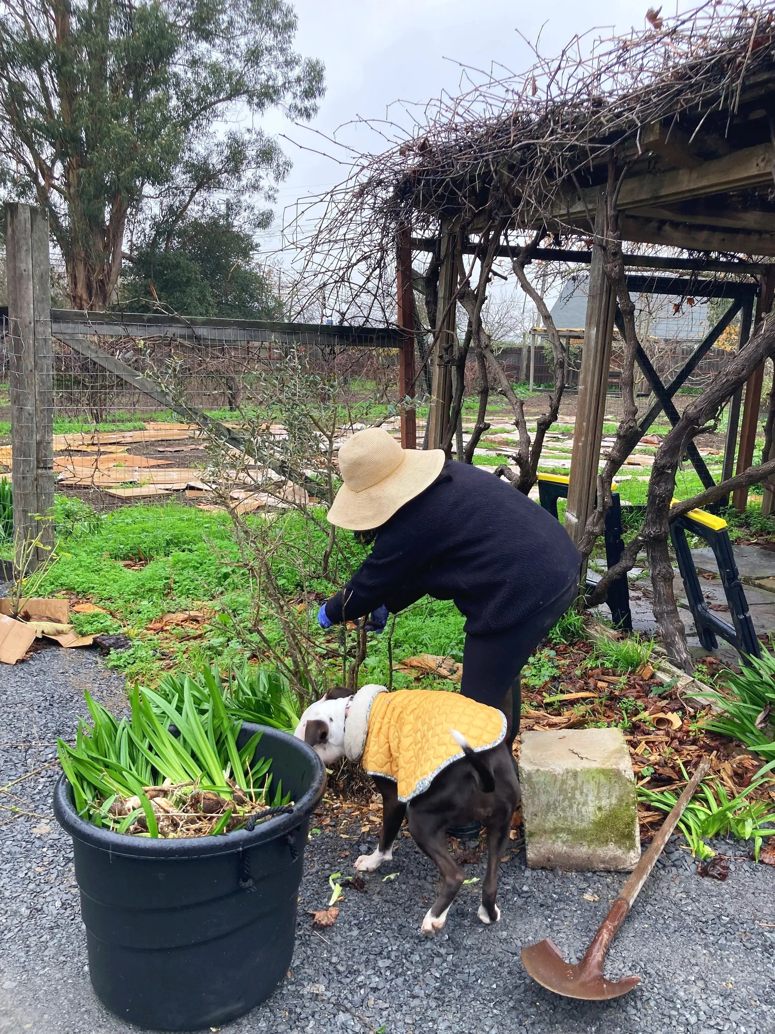 Outdoor wedding venue in Novato at Tea Bouquet Farmstead