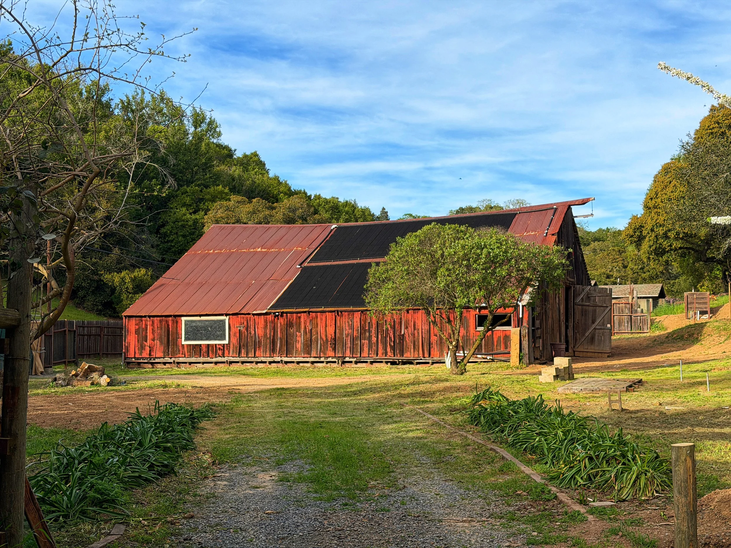 Outdoor wedding venue in Novato at Tea Bouquet Farmstead