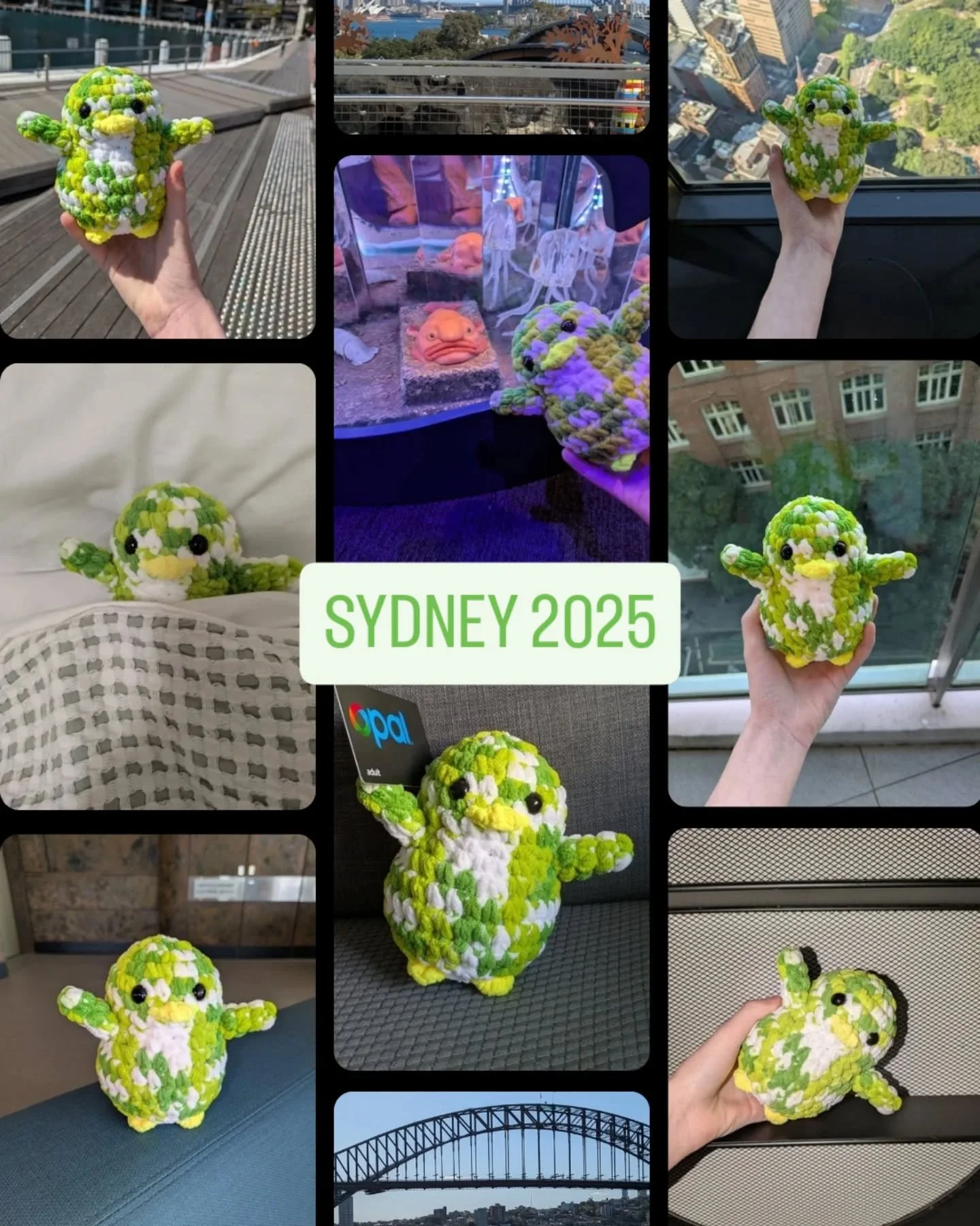 What a week it&rsquo;s been for Power Management! 💚✨

From the magical moment we introduced our newest penguin friend Pixe, to our one-week Sydney pop-up that welcomed clients, friends, and curious passers-by, the energy has been unforgettable.

Our