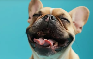 Screenshot 2026-03-04 1.00.35 PM.png