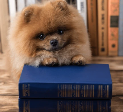 Screenshot 2026-03-04 1.10.18 PM.png