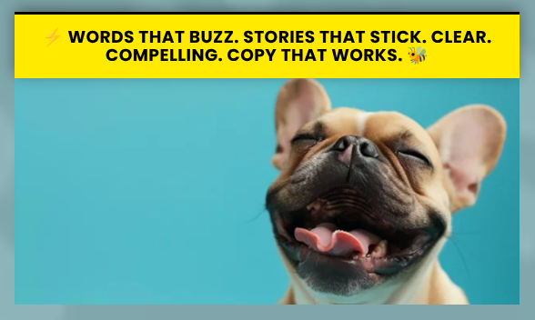 🐾 Pet Brands · Lifecycle Marketing