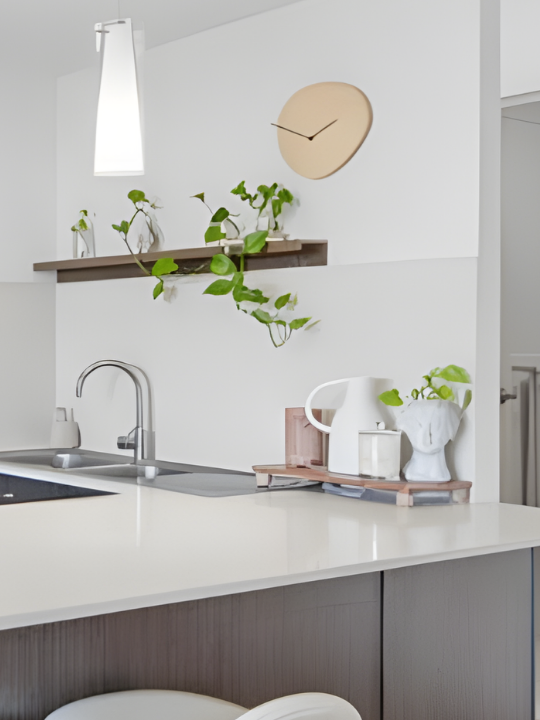 Modern kitchen with white countertop, sink, and plants on shelves and counter