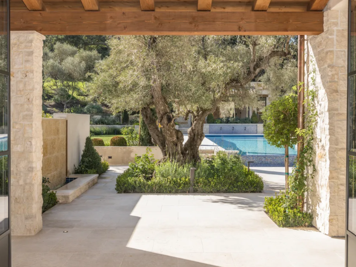 View from a covered patio looking out onto a large tree, greenery, and a swimming pool in a landscaped garden.