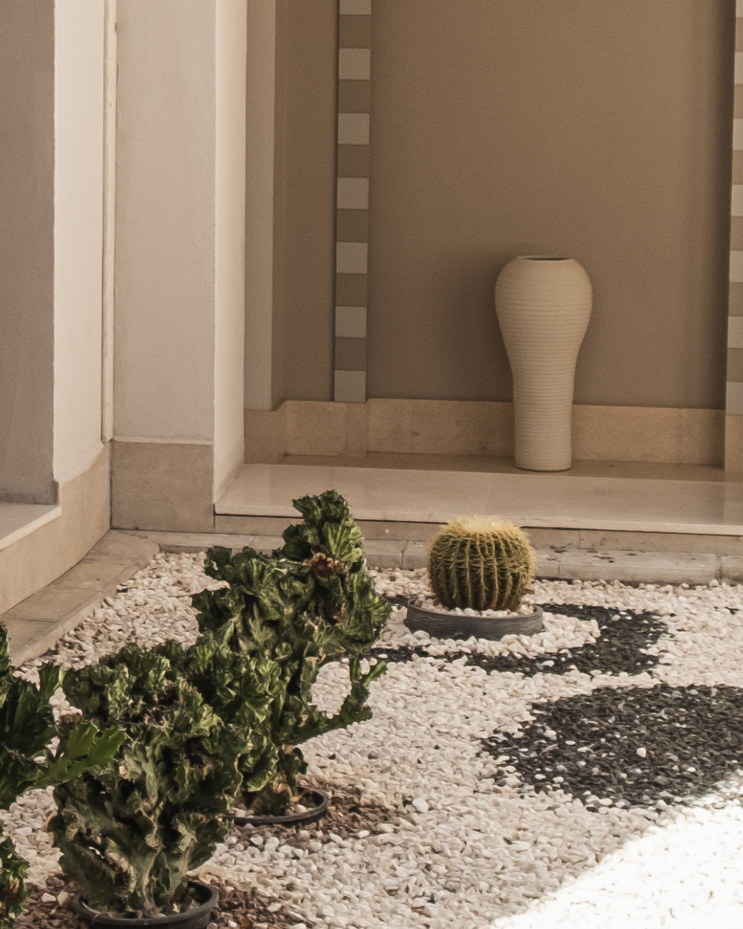 A desert-style garden with a round cactus and some leafy plants in pots, a tall white vase, and a decorative wall with beige and white panels.