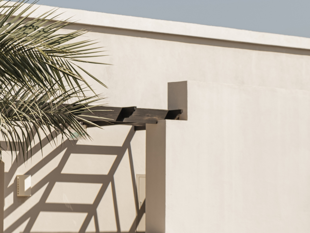 Part of a modern building with a white wall, a shadow of a wooden ladder, and a palm tree.