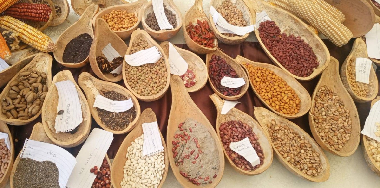 $20,000+ Gift: Help Launch Our Pilot Project. In Appreciation: Your Name Will Be Proudly Displayed on the Hub Building