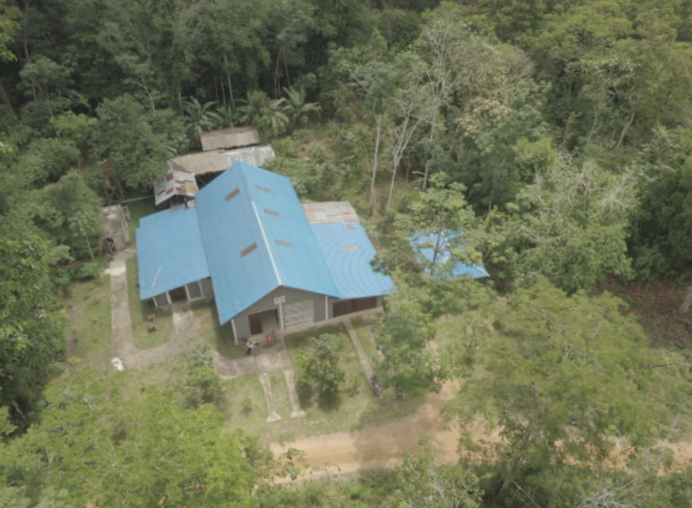 $20,000 Gift: Help Build a Regeneration Hub. In Appreciation: VIP Experience for Summer Walker's Upcoming Tour, Courtesy of Amber Grimes