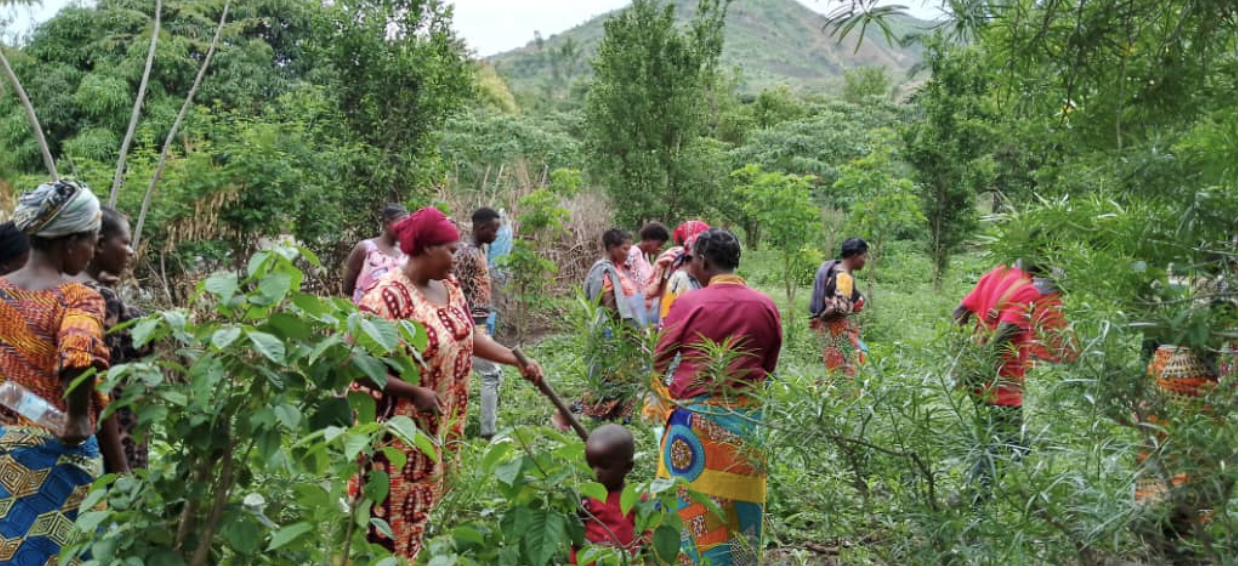 $250 Gift: Help a Circle of Women Plant Food Forests in Rural Kenya. In Appreciation: Recognition on the Food Forest Network Website