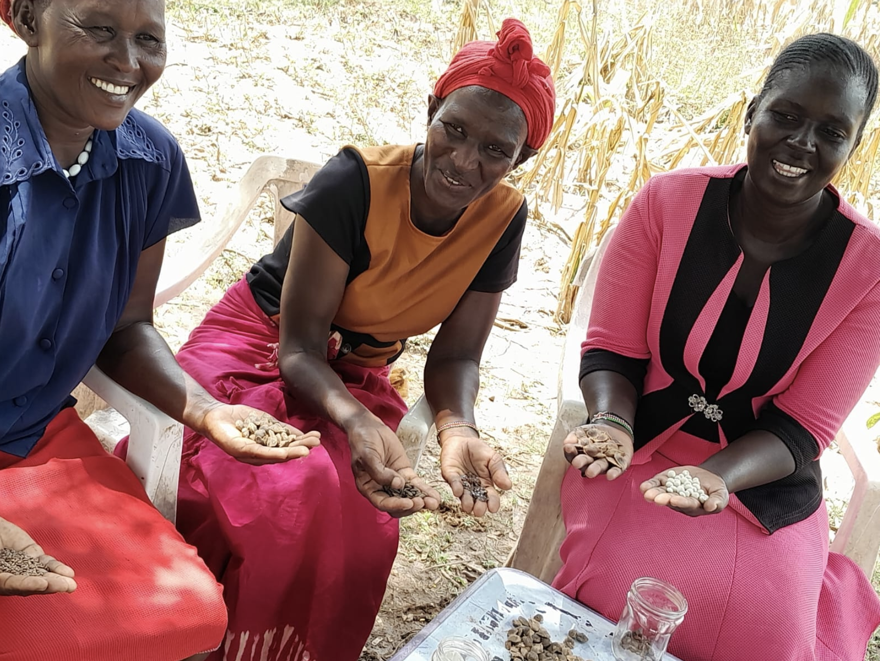 $5,000 Gift: Help a Circle of Women Plant Food Forests in Rural Kenya. In Appreciation: Recognition on the Food Forest Network Website