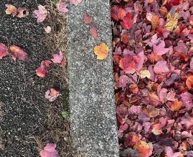 Before: Paver walkway in Weymouth, MA with years of embedded dirt and grime.