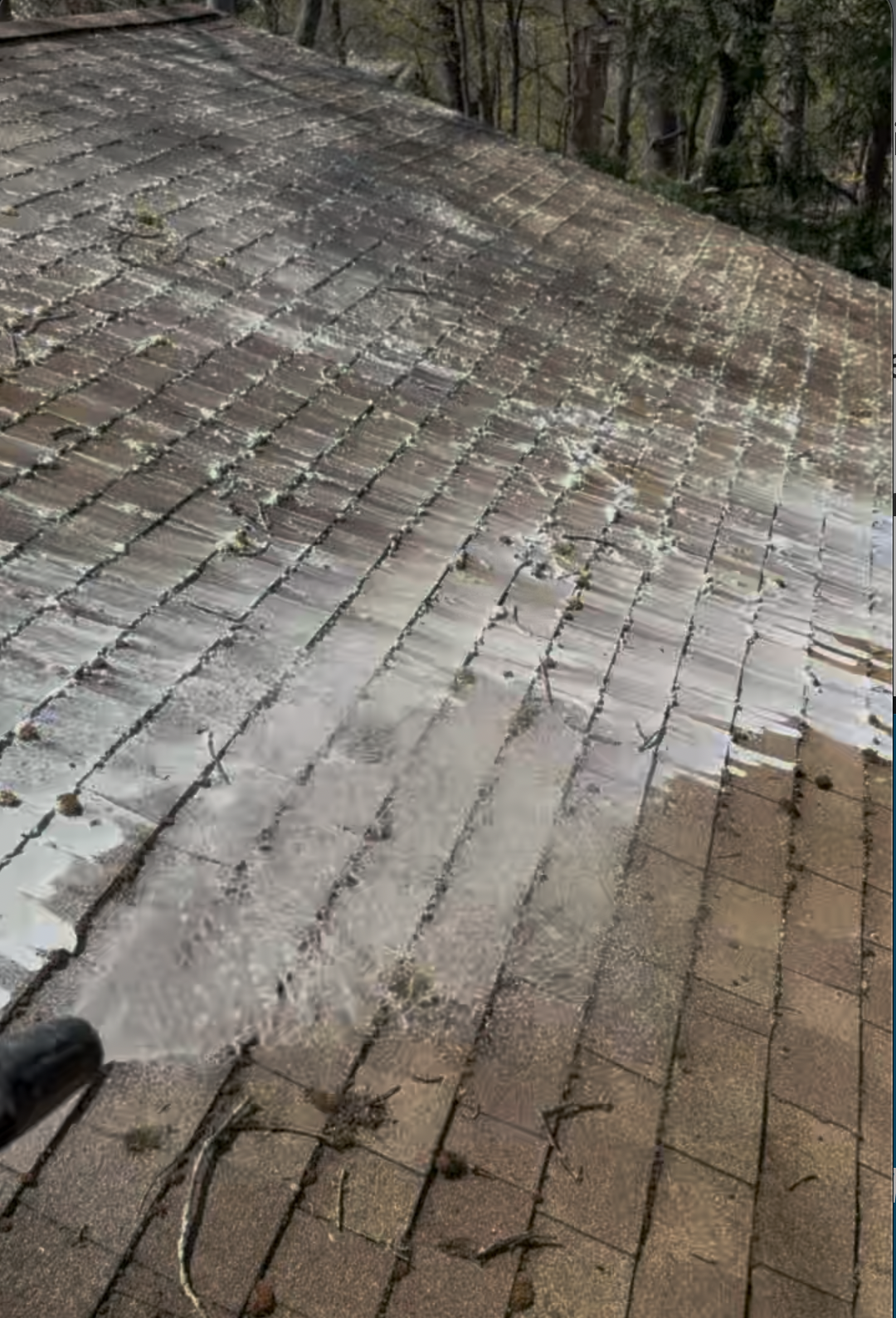 Roof cleaning treatment in Massachusetts for businesses and homeowners