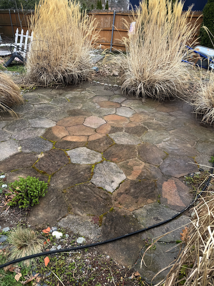 Before: Patio pavers in Weymouth, MA with moss, dirt, and discoloration before professional pressure washing.