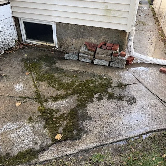 Before: Walkway in Quincy, MA covered with moss and dirt buildup.