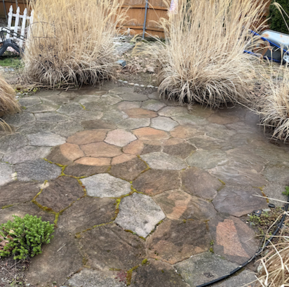 A circular stone patio with beige, brown, and gray rocks and tall ornamental grasses around the edges before being power washed by Water Works in Braintree, MA.