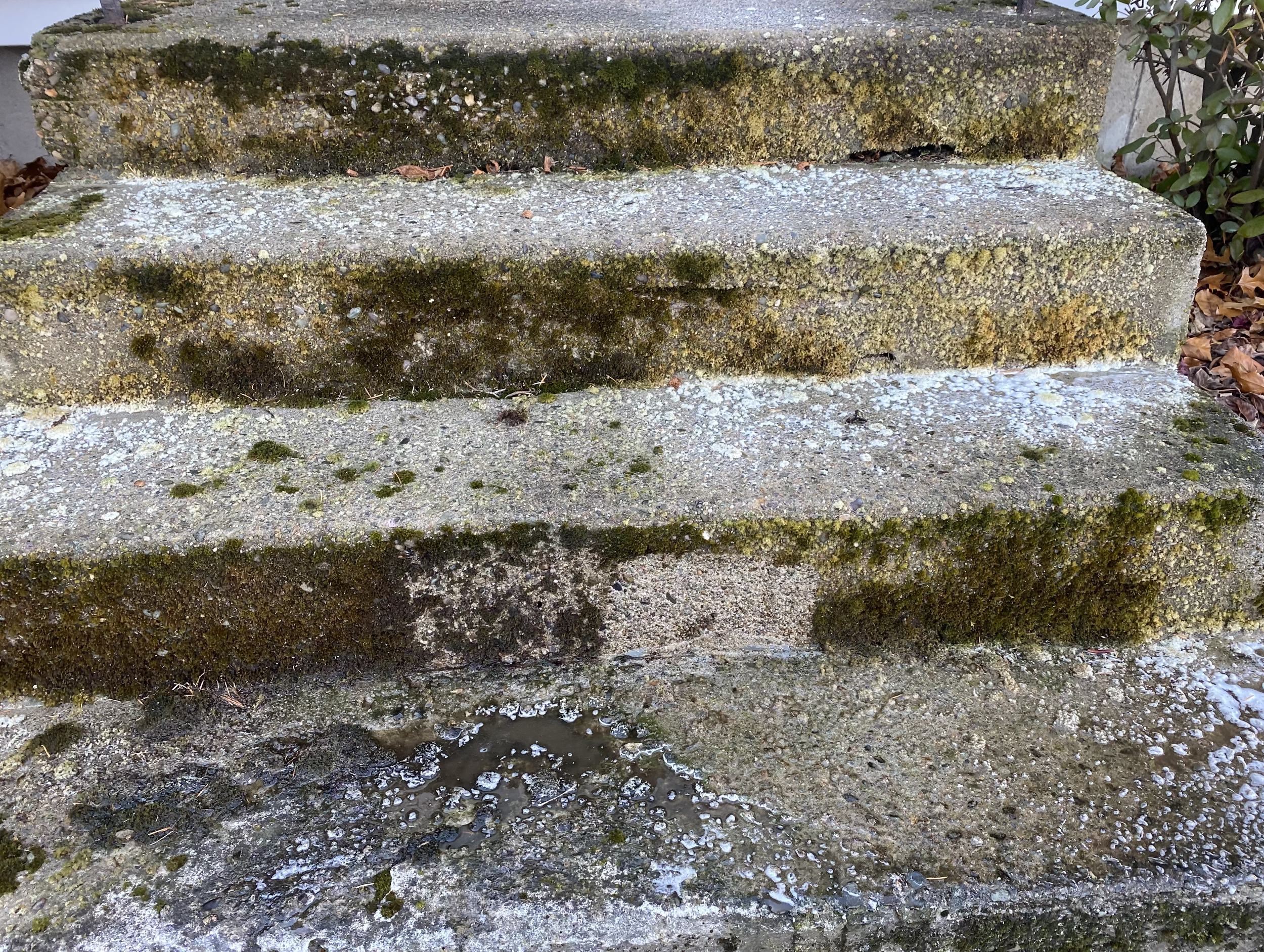 Before: Concrete stairs in Weymouth, MA with built-up dirt and surface staining.
