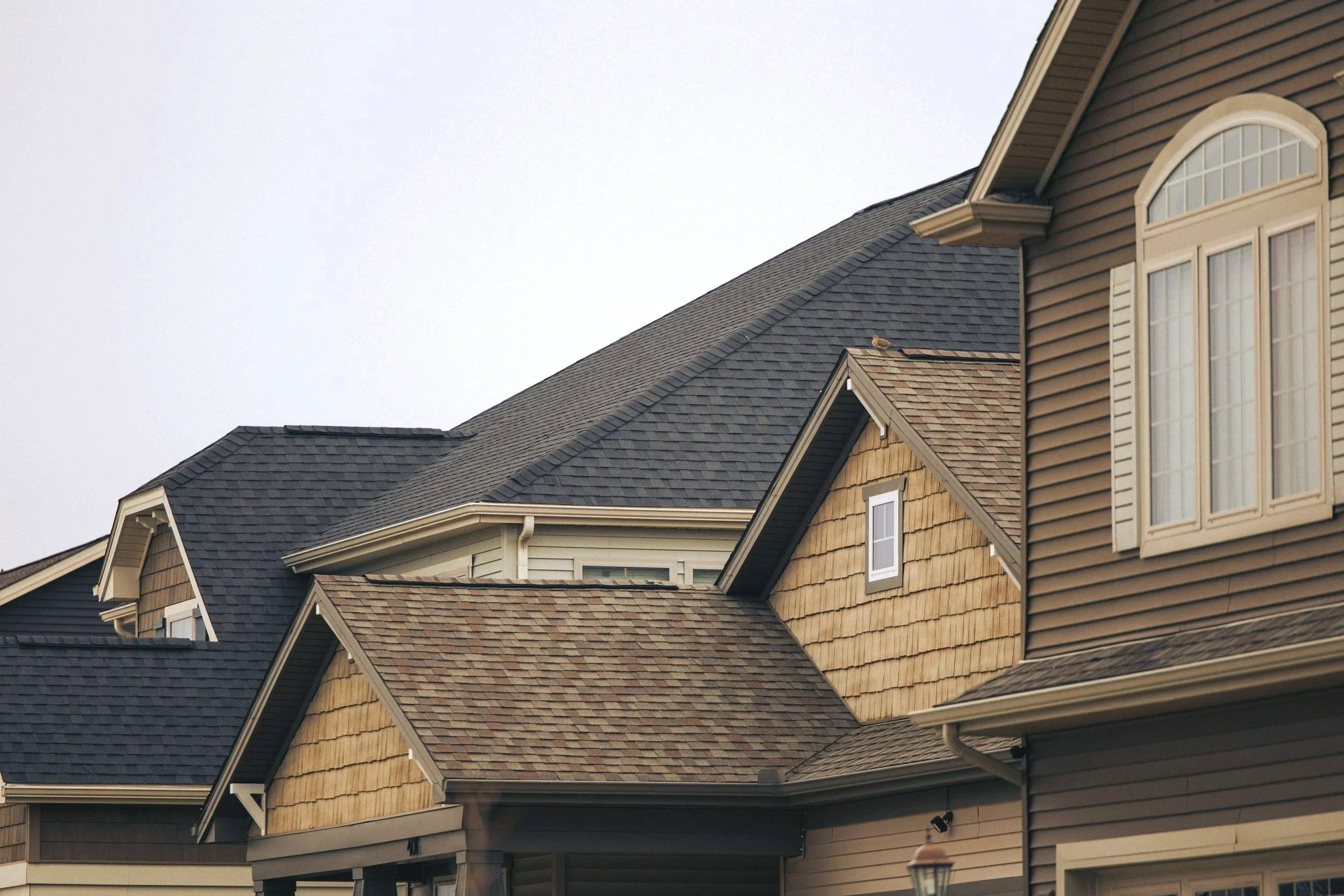 Safe roof cleaning with soft washing — visible algae and buildup on shingles in Needham, MA.