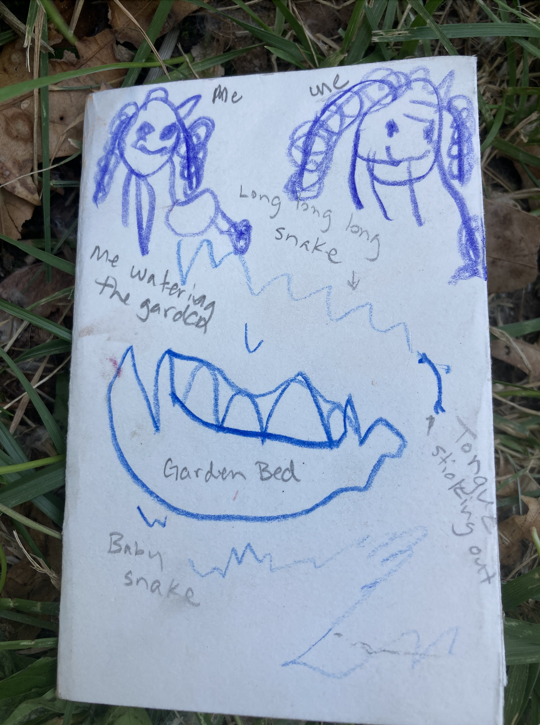 Child's drawing on a piece of paper with blue crayon sketches of a girl with long hair and a snake, a garden bed with teeth, and annotations like 'Me,' 'Long long long snake,' 'I water in the garden,' 'Baby snake,' and additional notes.