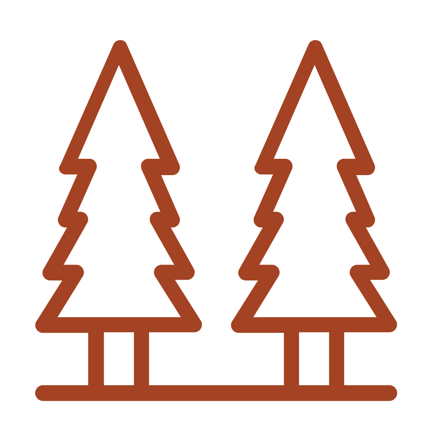 Outline of two pine trees with brown lines, standing on a horizontal base