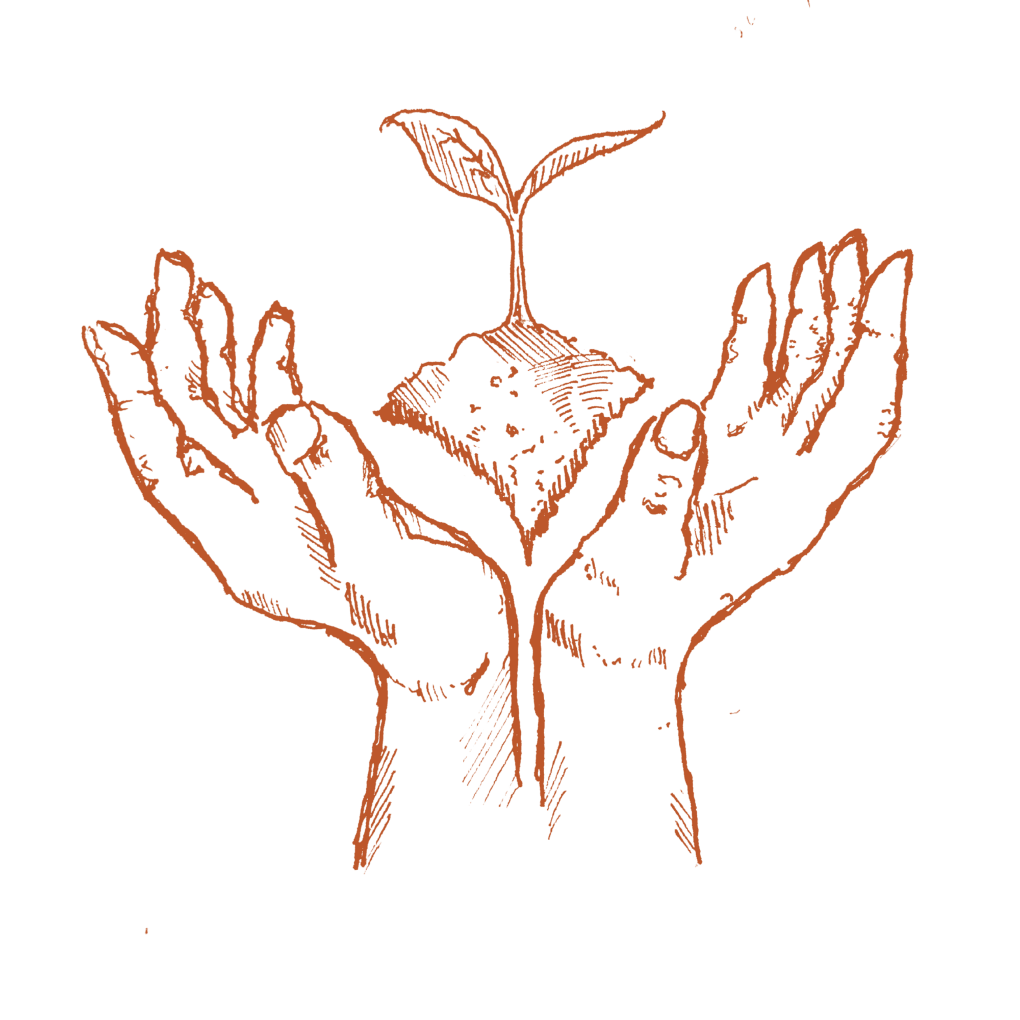 Illustration of a set of hands turned in facing one another with a sprout growing between them.