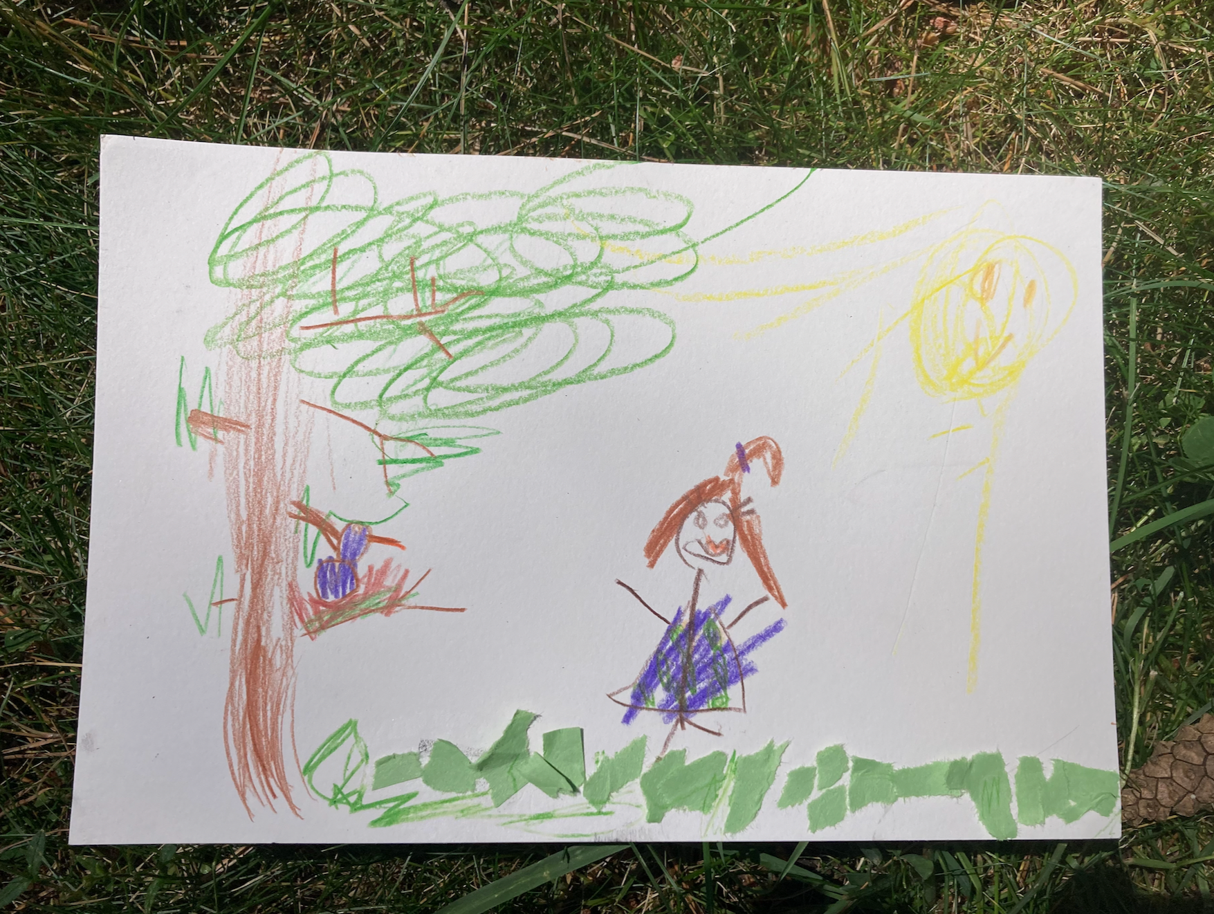 Child's drawing on white paper placed on grass. It depicts a large tree with green leaves and a brown trunk, a yellow sun shining in the sky, green grass, a girl with brown hair in pigtails wearing a purple dress, and a bird nest in a tree.