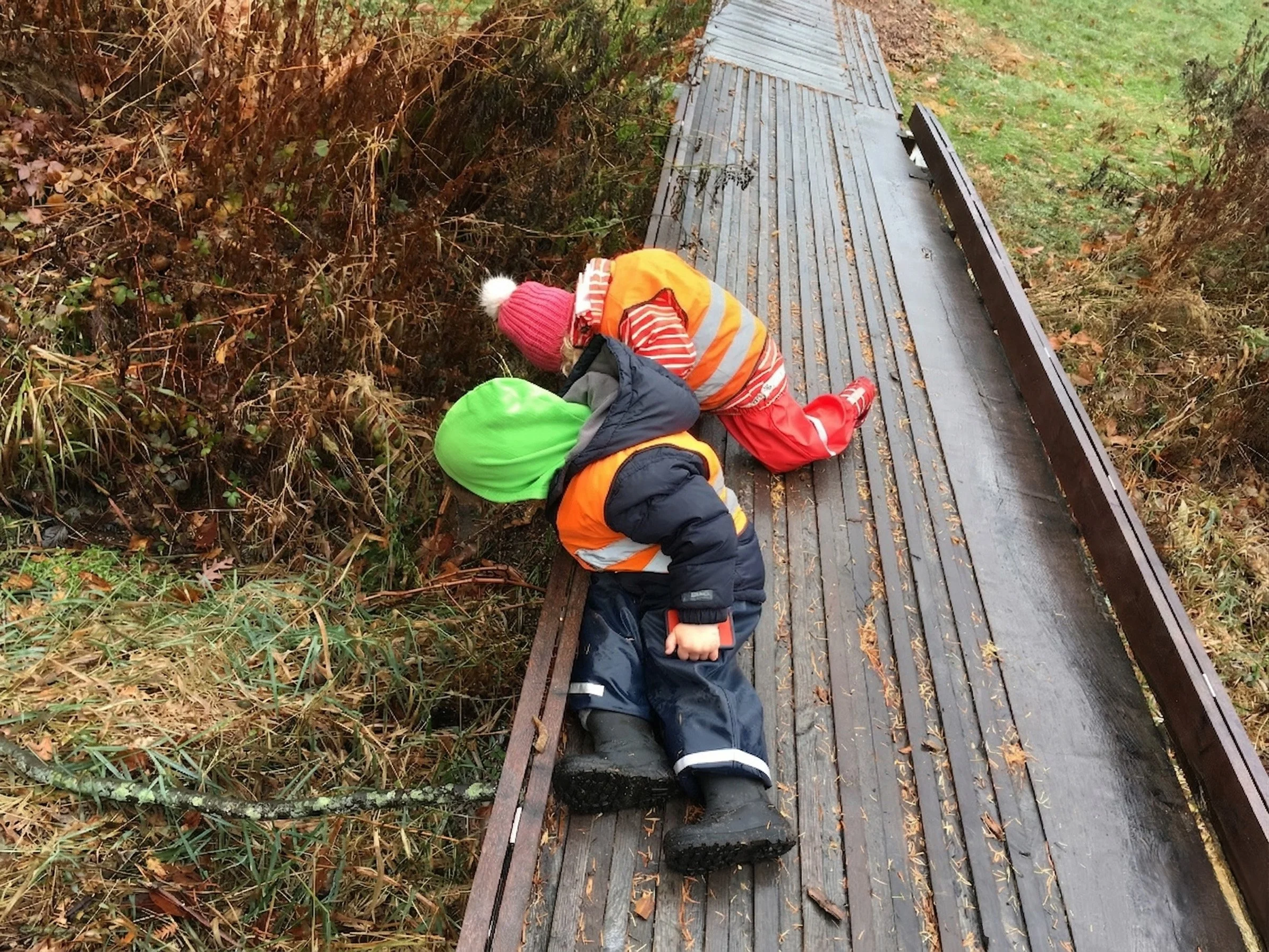Two young children wearing colorful jackets, hats, and rain boots explore fallen leaves and bushes beside a wet wooden walkway in a natural outdoor setting.
