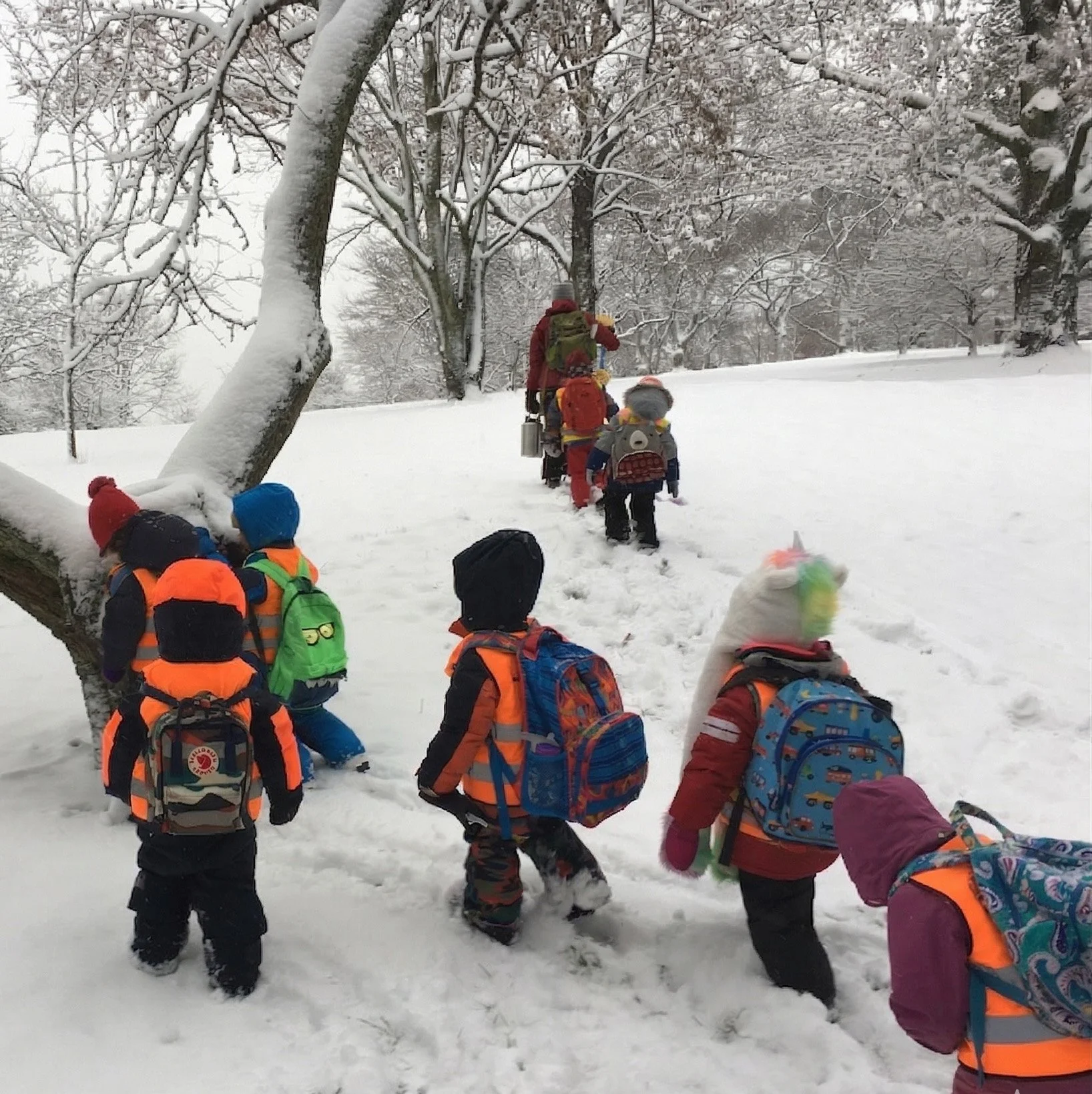 A group of young children dressed in colorful winter clothing with backpacks walking in a line on a snowy trail through a winter forest, supervised by an adult.