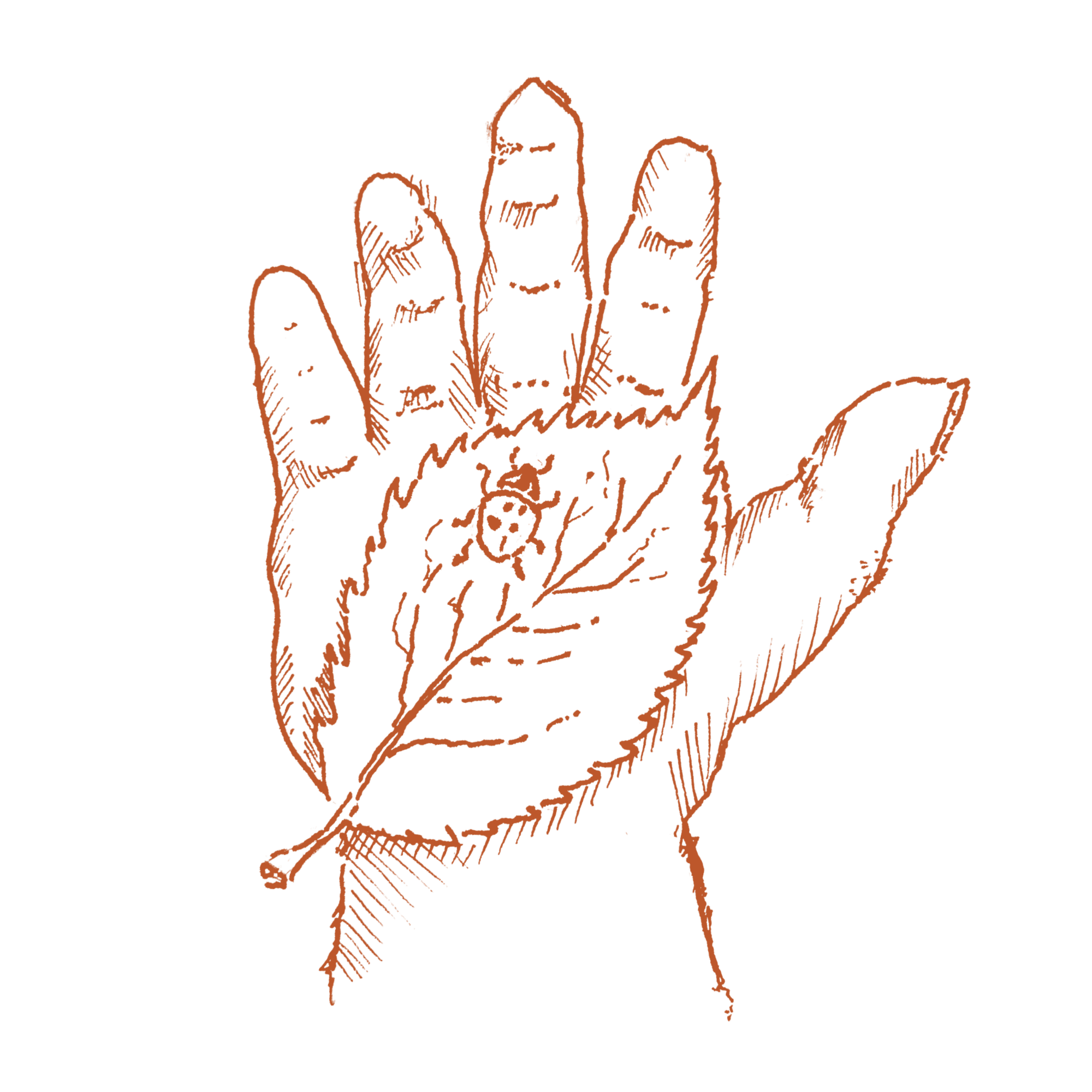Illustration of a child's hand, older toddler age, holding a leaf with a ladybug on it.