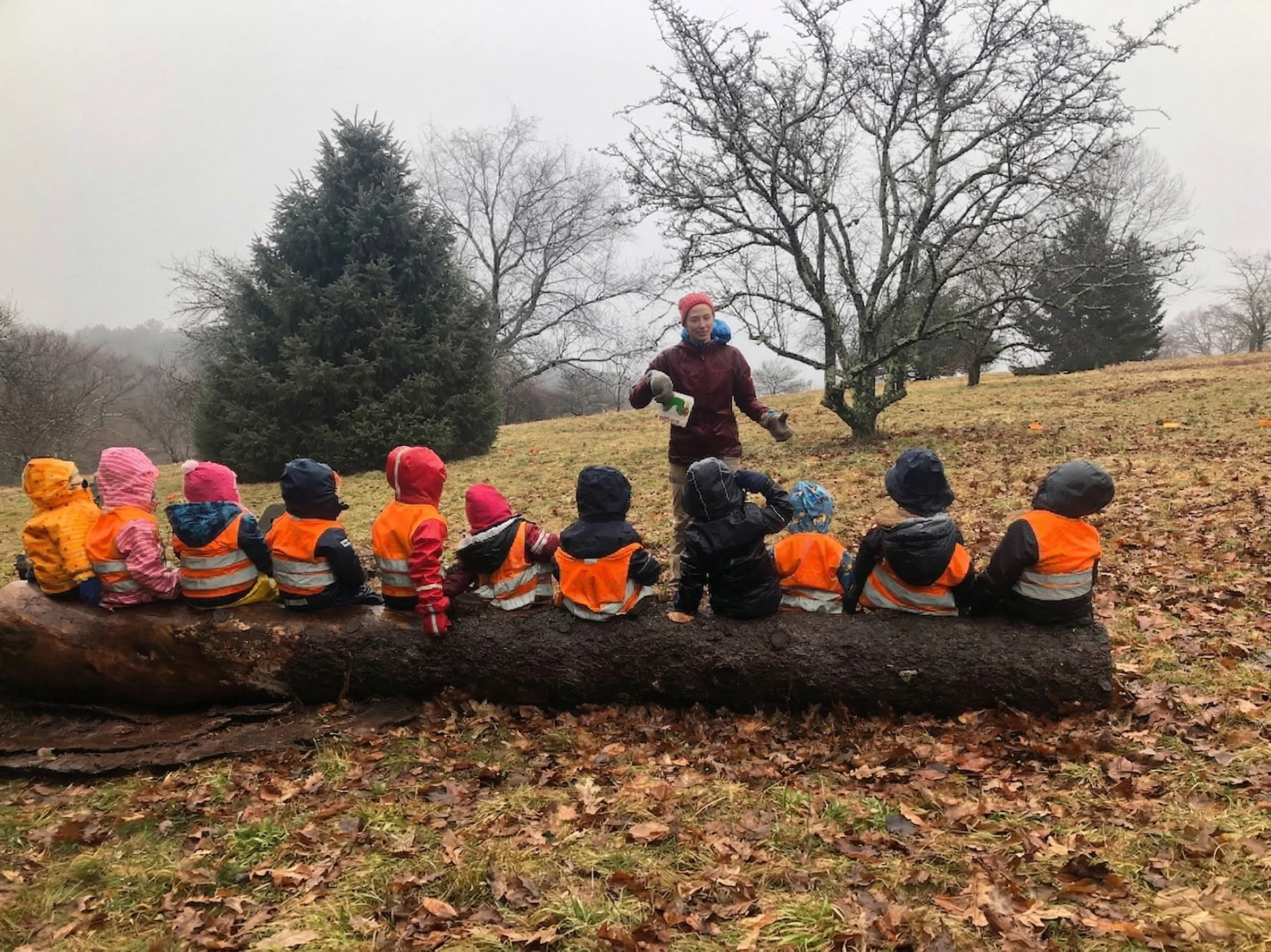 A nature preschool class sitting on a large fallen log outdoors during winter, listening to a teacher standing in front of them, holding a waterproof book, with trees and hillside in the background.