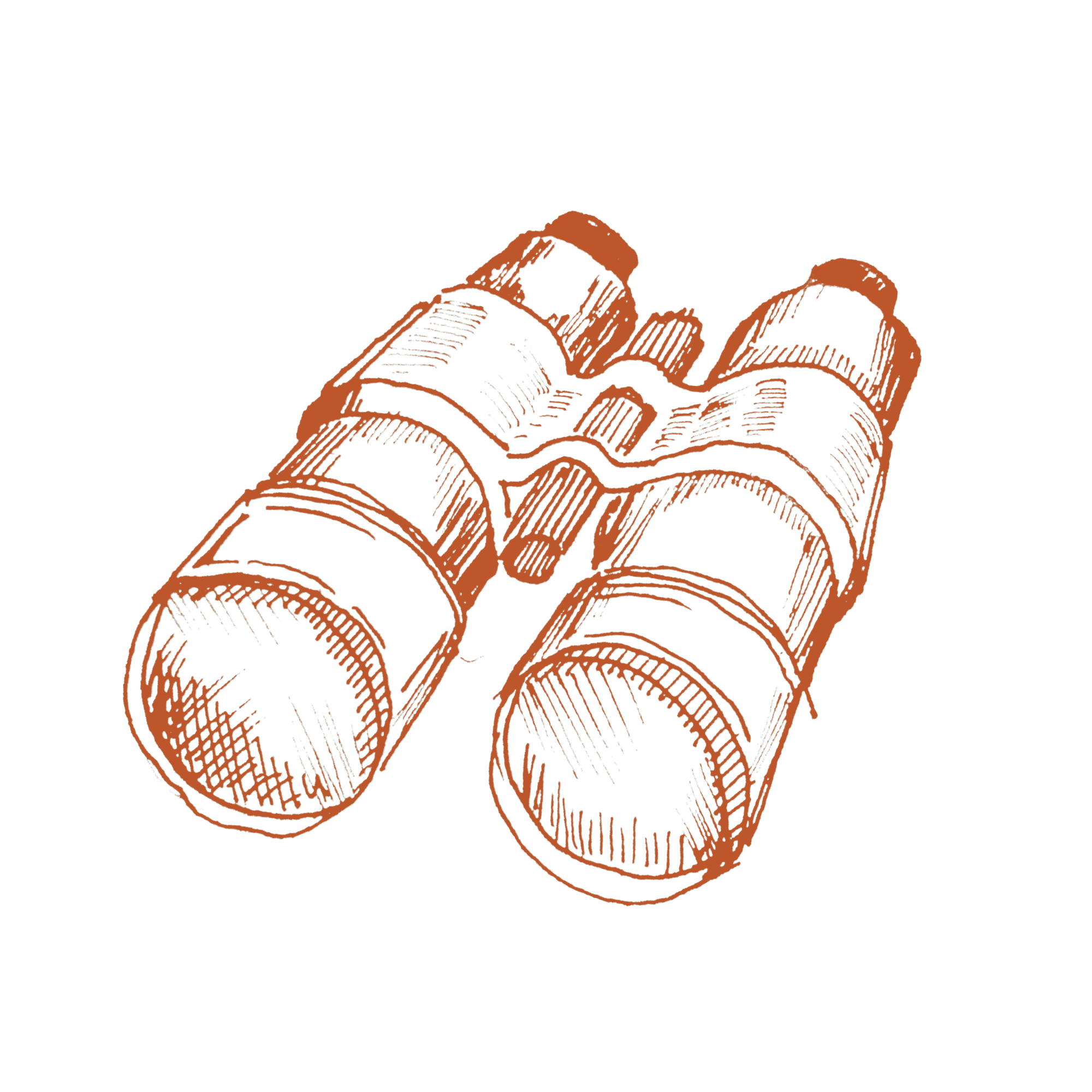 Illustration of a pair of binoculars.