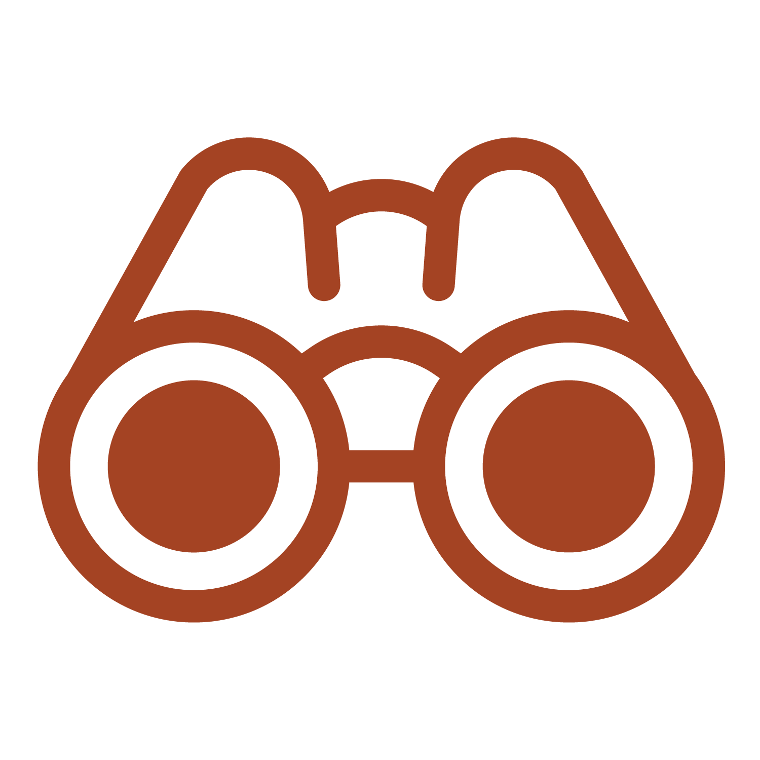 Icon of a pair of binoculars with brown outlines.