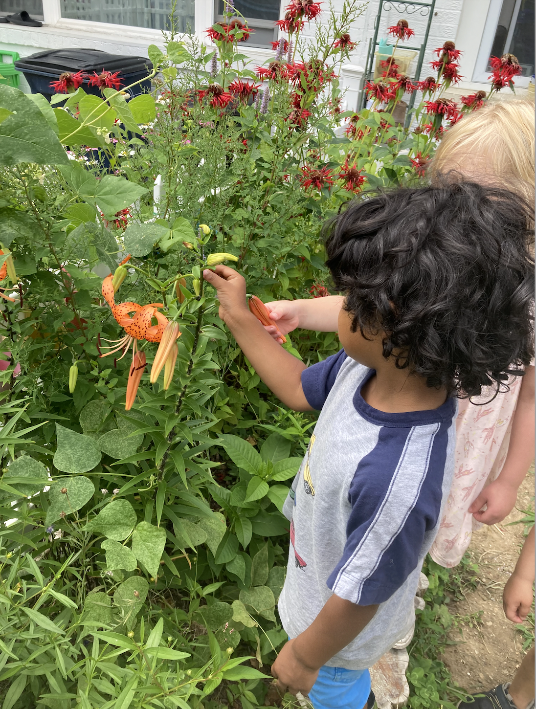 Children observing and touching various flowering plants in a garden, including orange lilies and red and purple flowers.