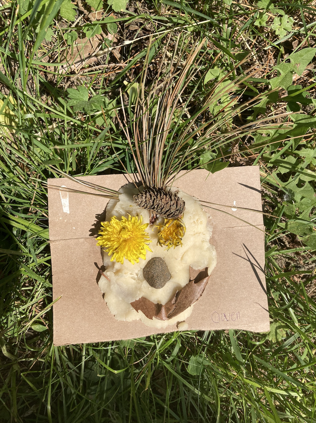 A face (nature preschool art) made from natural objects, including a pine cone for hair, dandelions, a stone for a nose, and brown leaves for a mouth. The face is on a piece of cardboard and placed on grass.