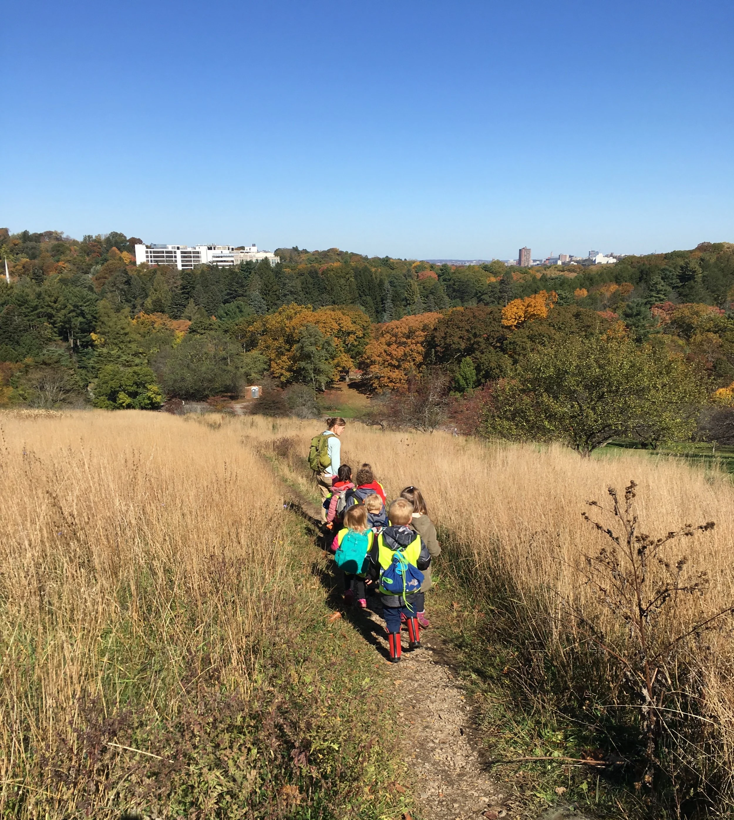 Hiking at ECO nature preschool