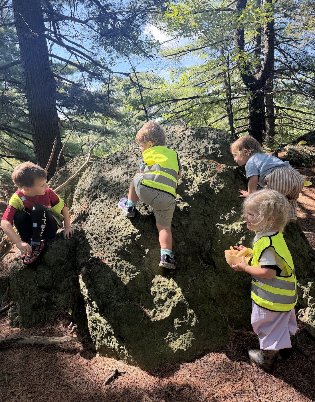 Climbing Rock on Hemlock Hill