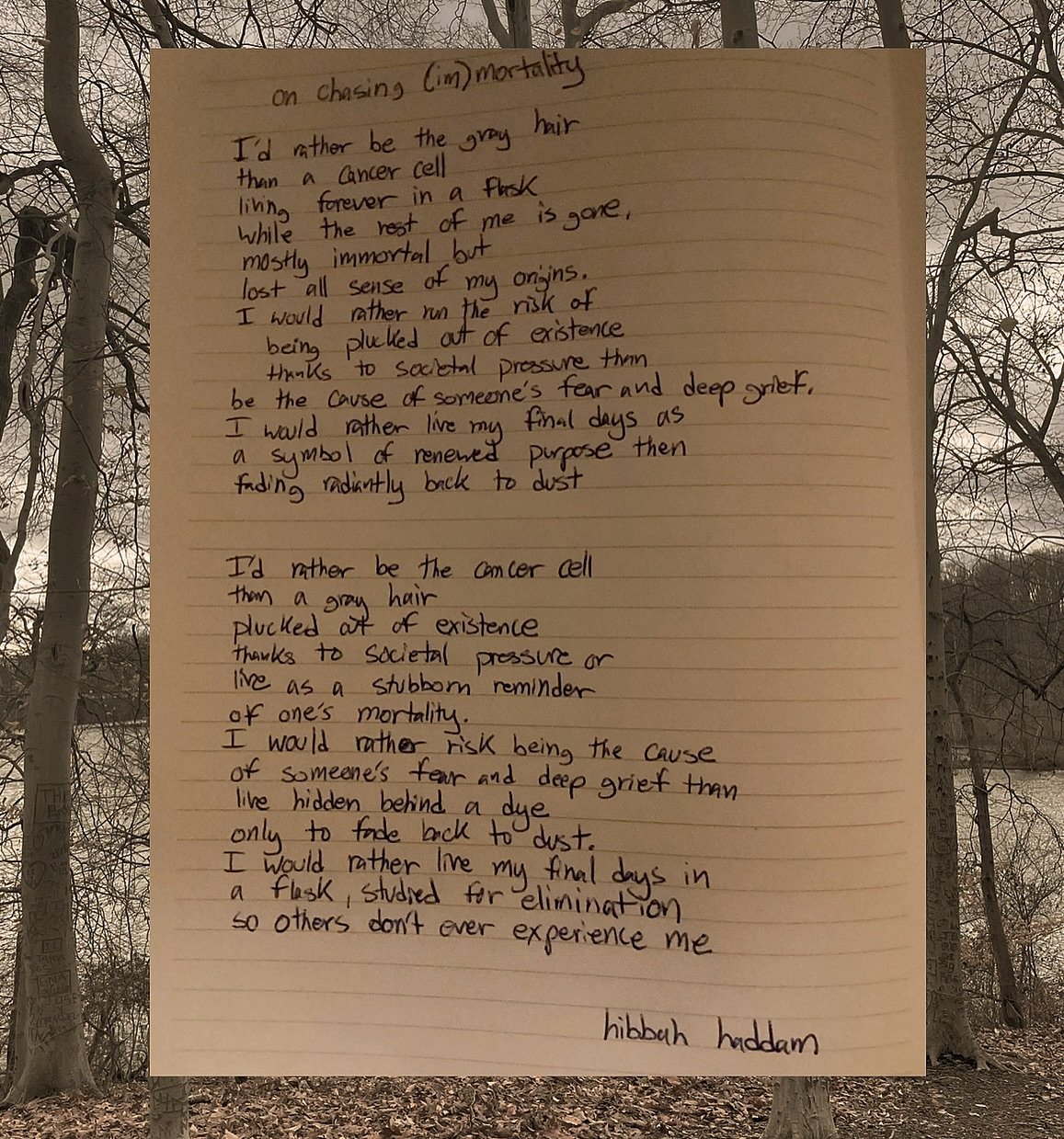 on chasing (im)mortality.
I think I&rsquo;d rather be&hellip;

#poetry #prose #reflection