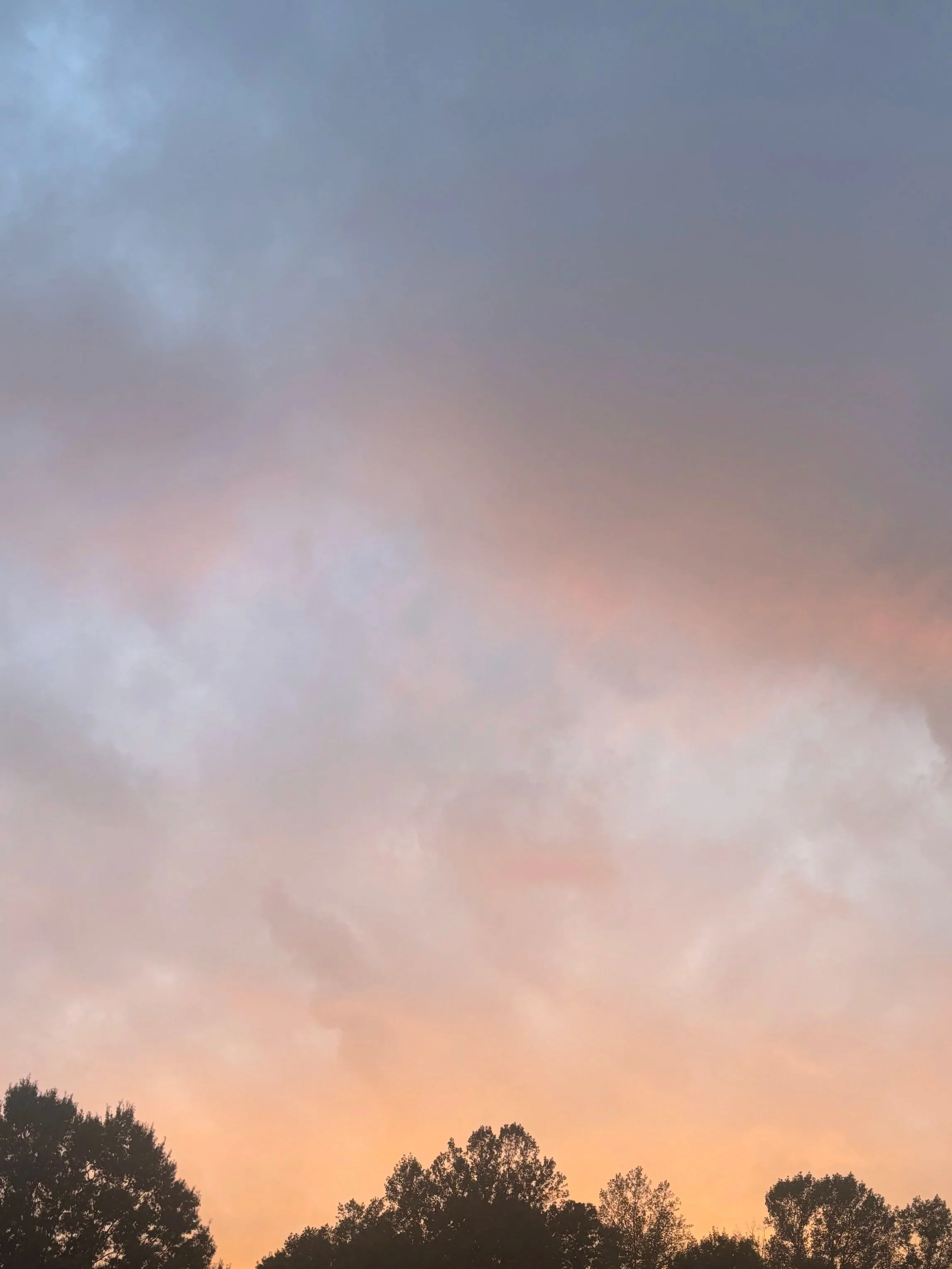 Colorful sunset sky with clouds above a silhouette of trees.