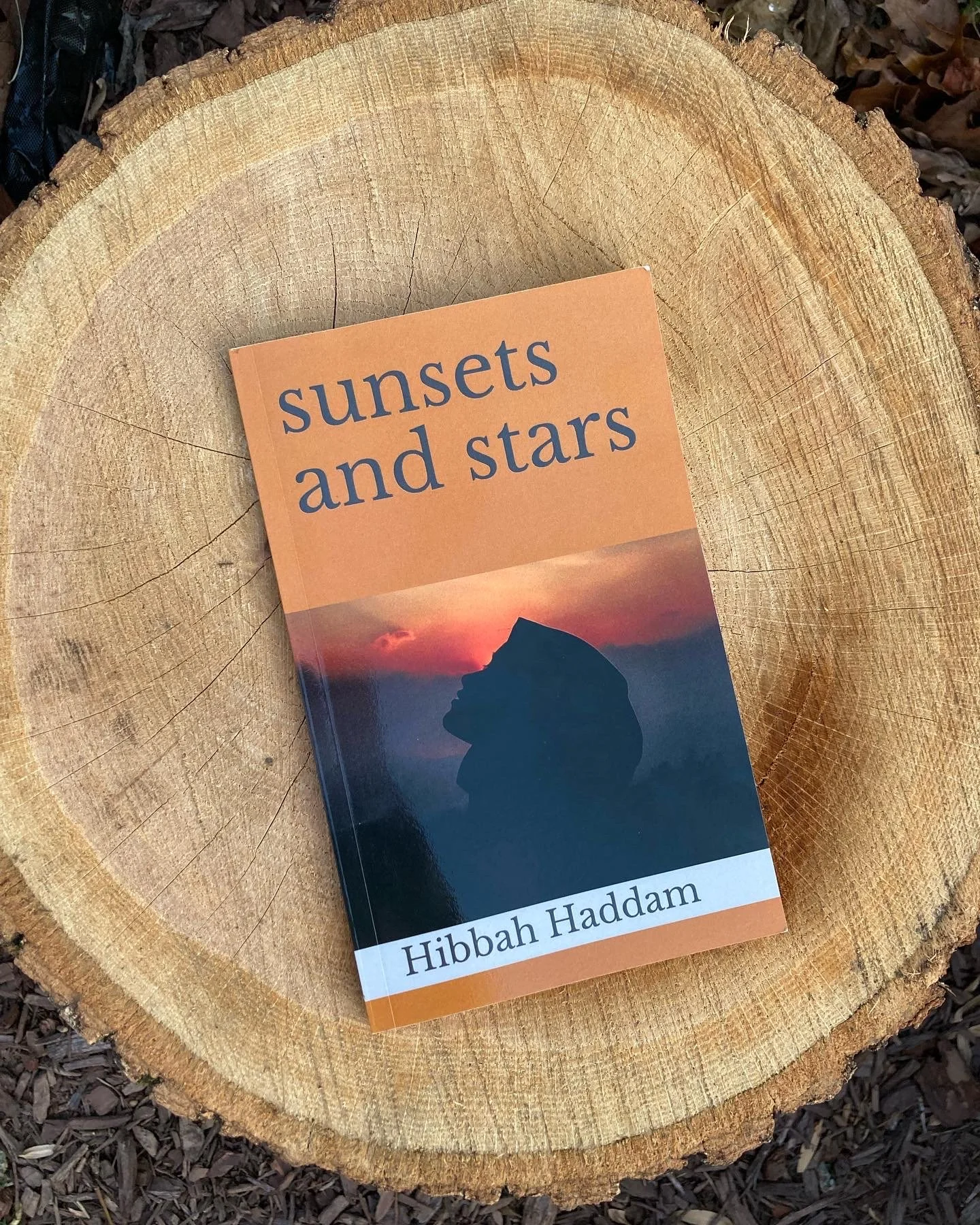 A book titled sunsets and stars by Hibbah Haddam lays on surface of a tree stump